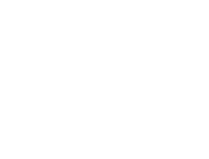 x-bionic-logo
